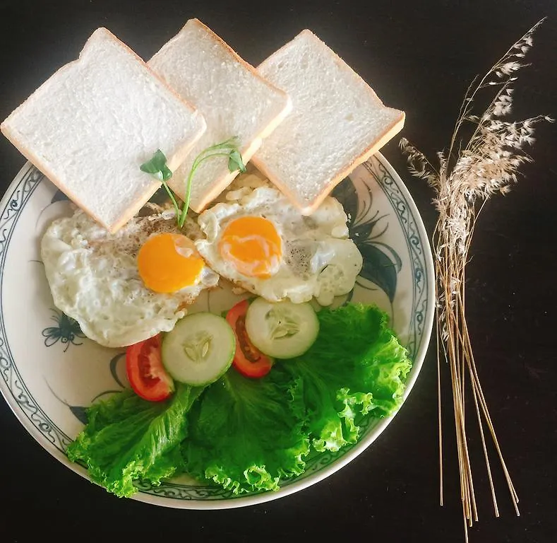 Carpe Diem Inn Da Nang Son Tra Vietnam